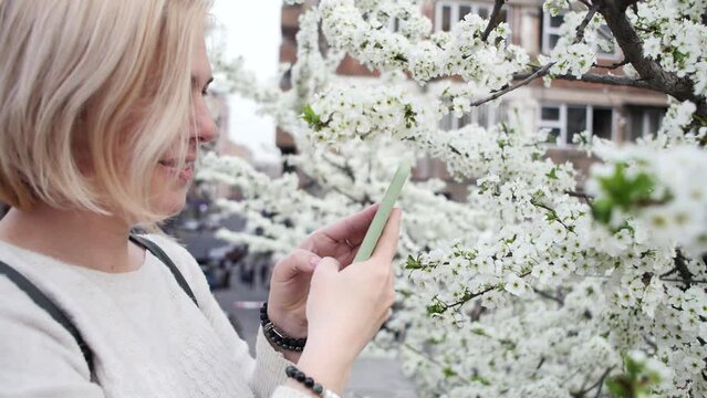 A cute adult blonde takes pictures with a smartphone of white beautiful flowers blooming on a bush and smells the aroma of a tree blooming in the city, enjoying the smell of flowering