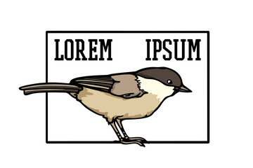 Vector card with hand drawn cute Willow Tit in austere frame. Ink drawing, beautiful animal design elements. Logo template