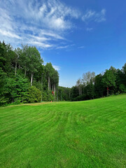 Fototapeta na wymiar grass field with trees