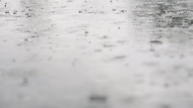 Slow motion closeup of rain drops falling into puddles on asphalt focus pull