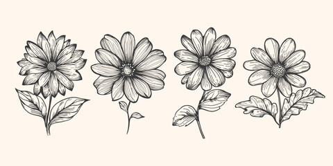 Line art of flower set pencil sketch