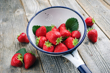 Reife rote Erdbeeren aus biologischem Anbau angeboten als closeup in einer rustikalen Metall Schale...