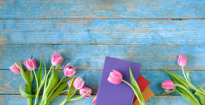 beautiful spring flowers, row of pink tulips flowers with books on wooden blue background, concept, flat lay, negative space,free copy space