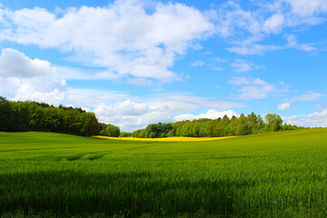 Obraz premium Landschaft