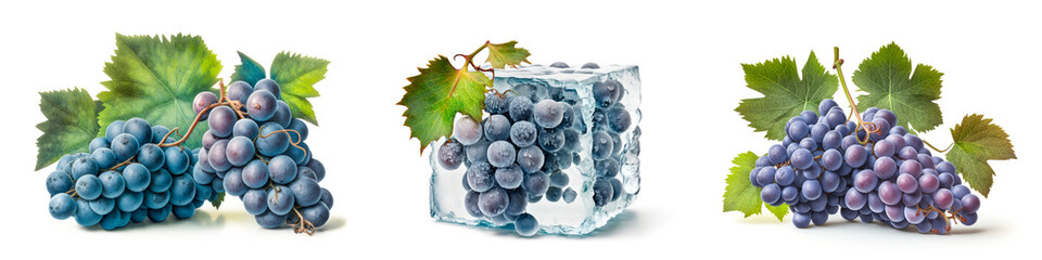 Fototapeta premium Fruit isolated on white background. Set of ripe juicy blue grapes with leaves on a white background. Generative AI