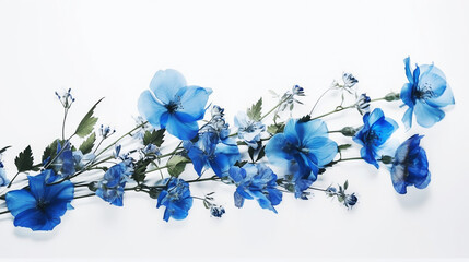 Fototapeta na wymiar blue flower, white background, masterpiece, high quality