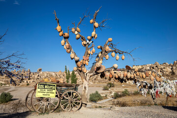 Fototapeta na wymiar landscape in the cappadocia turkey