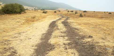 Ground road in nature. Armenia. Autumn