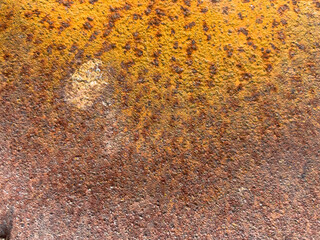 rusty metal background