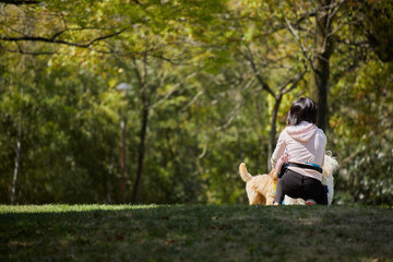 公園で犬を連れて散歩している女性の後ろ姿