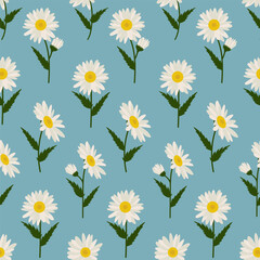 Seamless pattern with daisy Eps 10 vector. 