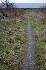 Path in a grass field leading to a bridge under railway track - North sea - Cove - Aberdeen city - Scotland - UK