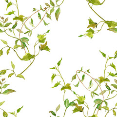 Watercolor wild flowers seamless pattern, delicate floral wallpaper, textile, cover, print, meadow greenery, herbs