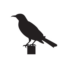 nice  look silhouette vector images