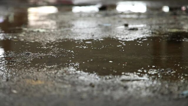 Rain water drops falling into puddle
