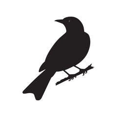 Fototapeta premium vector bird black silhouette images