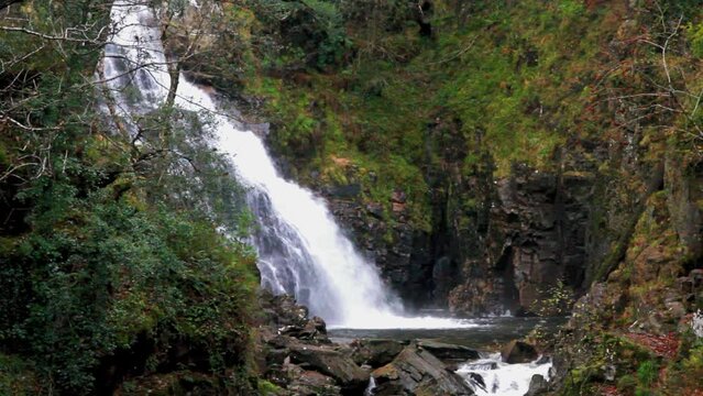 Pistyll y Cain Waterfall in Coed y Brenin Forest Park in Autumn, fall, portrait near Dolgellau, Snowdonia, North Wales, UK, landscape