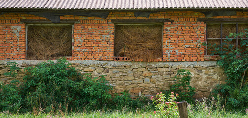 Brick unplastered rural building filled with hay. Dry hay falls out of the windows. Residential building adapted for hay storage