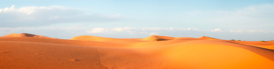 Naklejka na ściany i meble Dunes in the Sahara desert, Merzouga desert, grains of sand forming small waves on the dunes, panoramic view. Setting sun. Morocco
