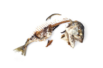 The food waste. Remains of fried fish. Fishbone and leftover meat of mackerel after eat isolated on white background.