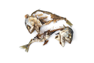 The food waste. Remains of fried fish. Fishbone and leftover meat of mackerel after eat isolated on white background.
