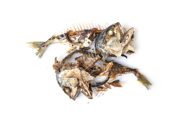 The food waste. Remains of fried fish. Fishbone and leftover meat of mackerel after eat isolated on...