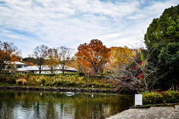 日本の紅葉の世界、滋賀県びわこ文化公園