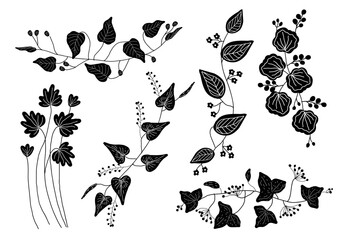 蔓植物 ボタニカル モノクロ 素材