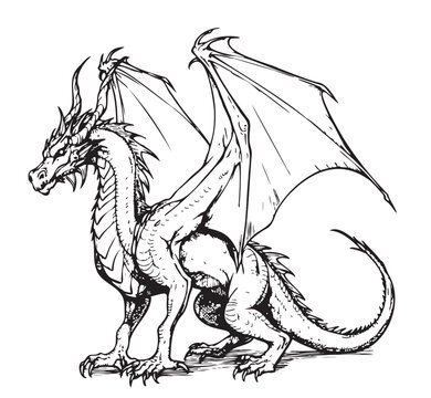 Fantasy dragon sitting sketch illustration Myths and legends