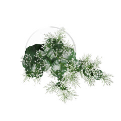 Top view of houseplant