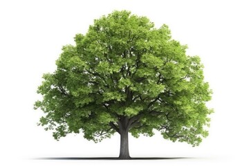 tall green tree with lush leaves against a plain white background. Generative AI