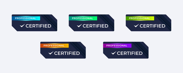 Certified badge design. Certification icon badge template with category business profession.