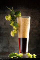 Glass of dark beer with hops around on a dark background