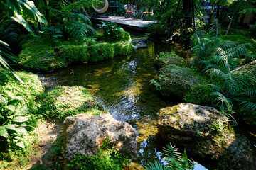 Green forest in the garden with environment