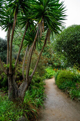 Exotic Garden Of Village Roscoff At The Atlantic Coast Of Brittany, France; Jardin Exotique De Roscoff