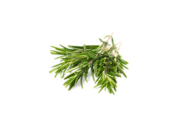 Rosemary isolated on white background. Fresh spice herbs. Seasoning for meat and fish. Recipe.