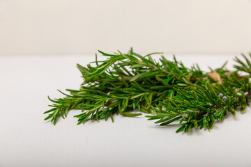 Rosemary on a white textured wooden background. Fresh spice herbs. Seasoning for meat and fish. Recipe. Organic bouquet of fresh rosemary on the table. Place for text. Place to copy.