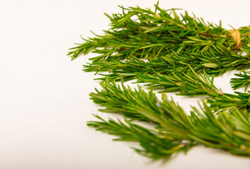 Rosemary on a white textured wooden background. Fresh spice herbs. Seasoning for meat and fish. Recipe. Organic bouquet of fresh rosemary on the table. Place for text. Place to copy.