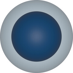 A Lymphocyte is a type of white blood cell (leukocyte)