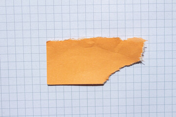 Orange ripped paper piece on a graph paper