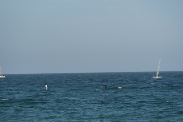 Obraz premium un petit voilier dans la mer