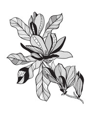 lace flower magnolia, bouquet, vector illustration