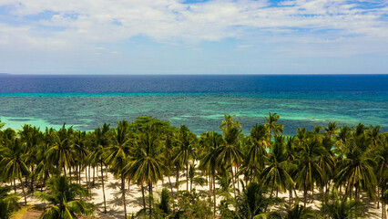 Fototapeta premium Beautiful tropical beach with white sand, palm trees, turquoise ocean. Panglao island, Bohol, Philippines.