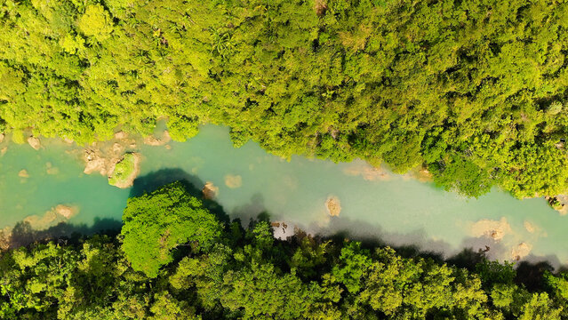 Green tropical forest and the blue river. Loboc River in the jungle. Bohol, Philippines.