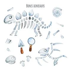 Cercles muraux Dinosaures Cute watercolor bones dinosaurus collection. Perfect for kids education, school, archeology, baby shower, planner graphics, stickers etc