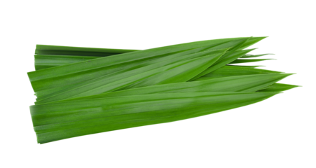 pandan leaf on transparent png