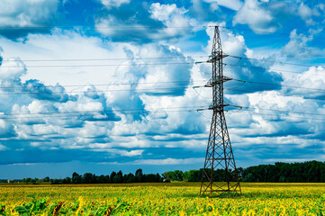 High-voltage power transmission tower in a field of sunflowers. High voltage tower with wires....
