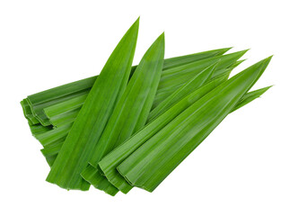 pandan leaf on transparent png