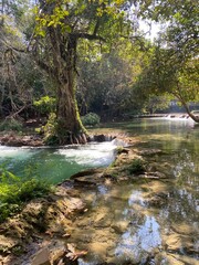 Obraz premium Cheddar saonoi waterfall from saraburi Thailand Thailand waterfall forest river