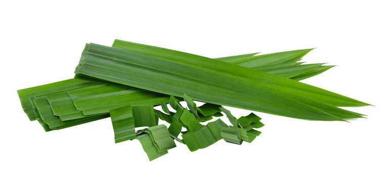 pandan leaf on transparent png